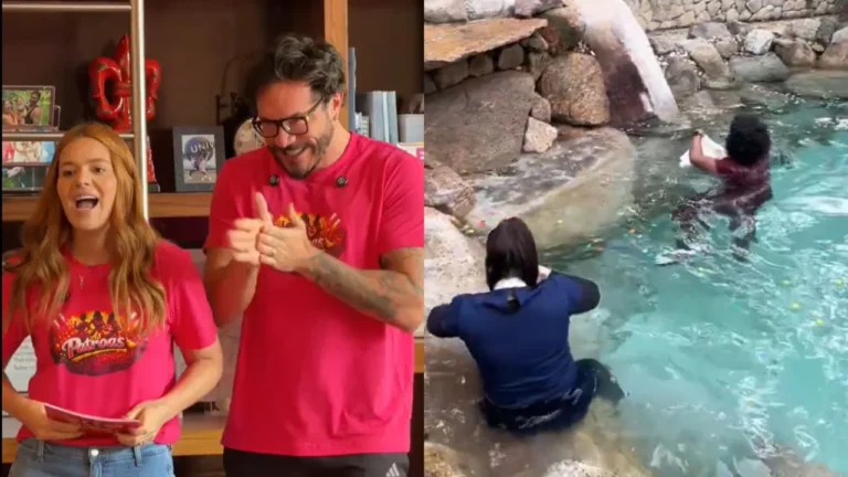 MPT encerra reality de Viih Tube e Eliezer; casal deve pagar R$ 350 mil por danos morais