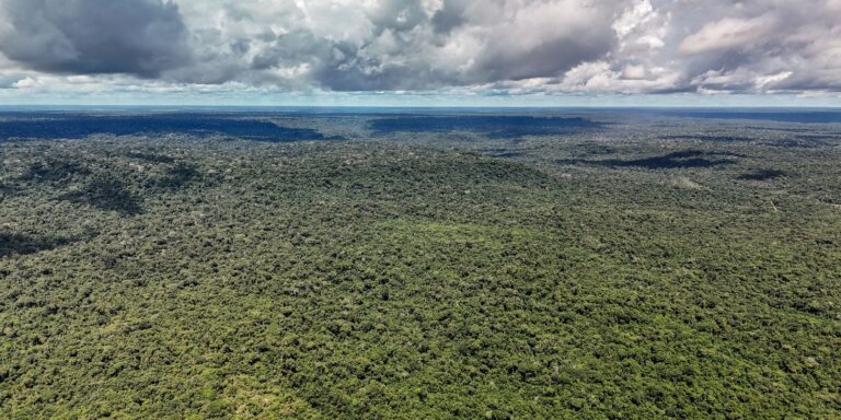Noruega é parceira do Brasil em ações ambientais agora