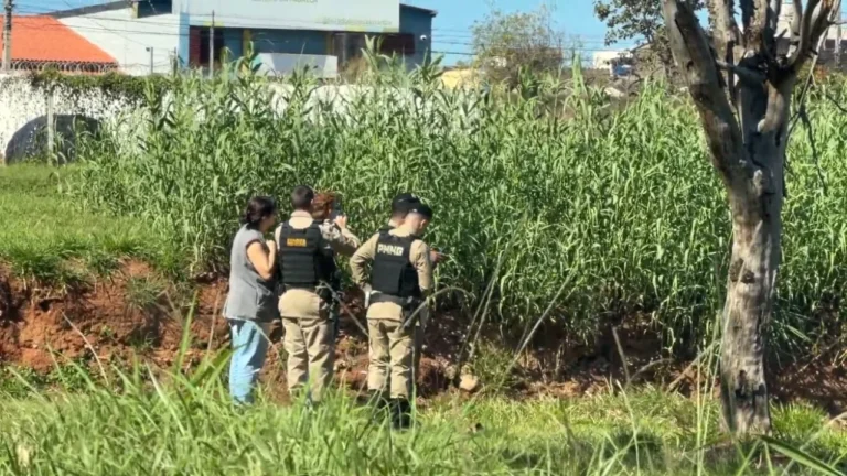 Ossada com sinais de queima é descoberta em terreno na Avenida Rondon Pacheco, em Uberlândia