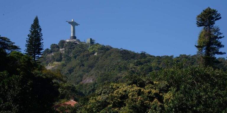 Parque Nacional da Tijuca: dicas de passeio em 65 anos de história