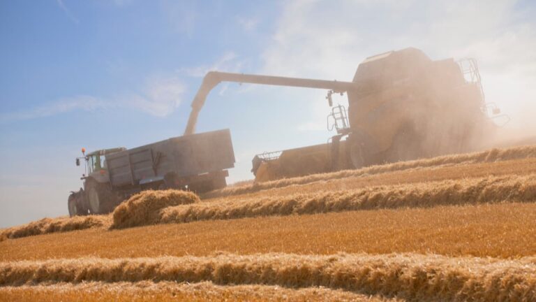 Plano Safra 2026/2027 traz novas regras de juros para o agro