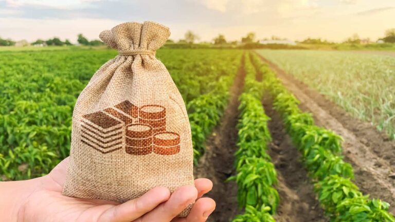 Agro: Produtores podem renegociar dívidas com novas linhas de crédito