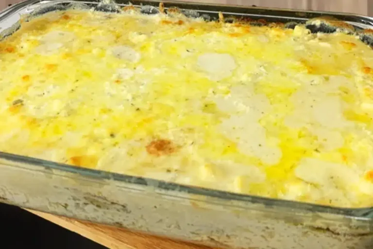 Receita de lasanha de abobrinha com queijo derretido e molho saboroso