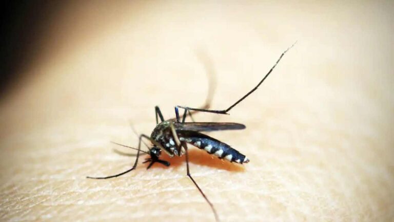 Santa Vitória registra primeira morte por dengue em 2026; criança de 8 anos não resistiu a complicações da doença