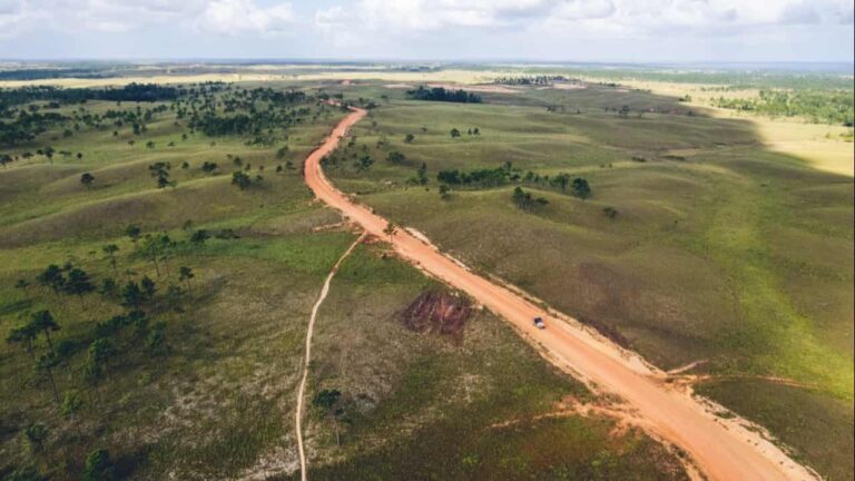 Tarifa dos EUA ao Brasil e o impacto no agro e desmatamento