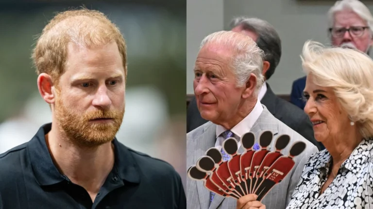 Tendência de moda: reencontro do Príncipe Harry e Rei Charles