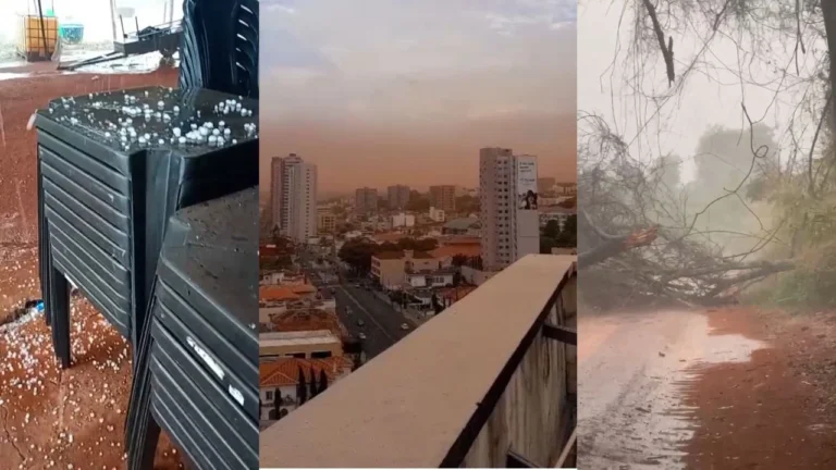 Triângulo Mineiro sofre com queda de árvores, granizo e chuvas intensas; confira os locais afetados