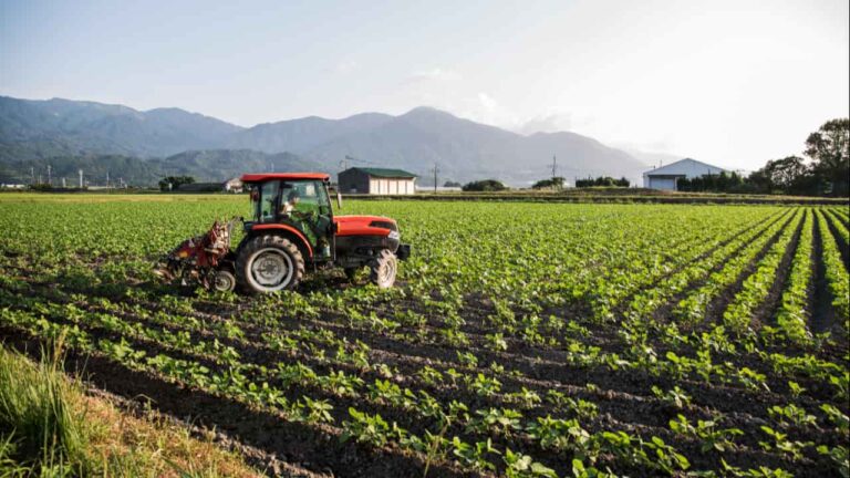 VBP da Agropecuária deve atingir R$ 1,4 trilhão em 2026
