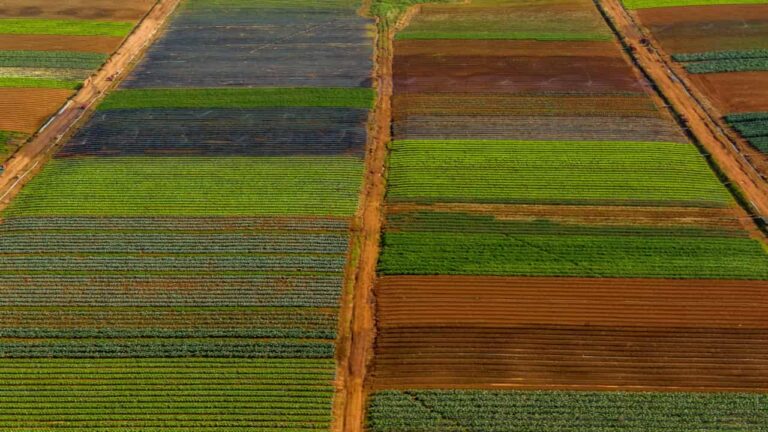 Crédito rural: 15% dos financiamentos em áreas com alertas ambientais