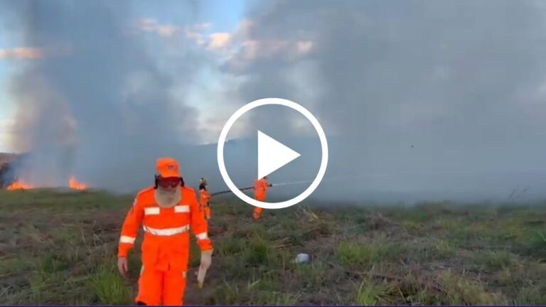 Incêndio em vegetação atinge 4 hectares em Unaí e mobiliza bombeiros por mais de 4 horas