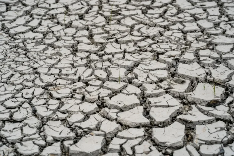 COP17 reúne 196 países na Mongólia para discutir seca, degradação da terra e financiamento