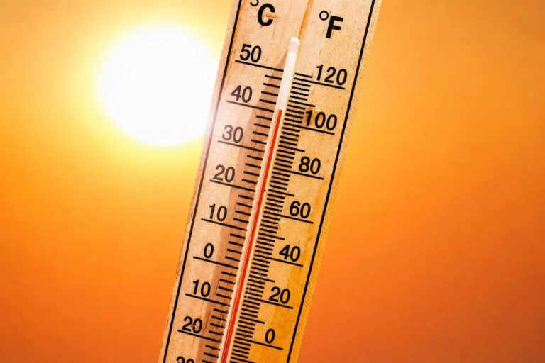 Data center de inteligência artificial em Belém é investigado por risco de ilhas de calor